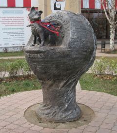 Собака-космонавт Звездочка.  Фото из открытых источниковКаникулы по-ишкарски Путешествуем по России 