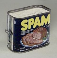 spam1.jpgСегодня - день рождения спама