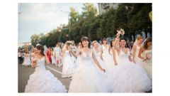 В День города в Чебоксарах пройдет свадебный парад «Мы женимся»