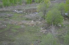 svalka_v_tsientrie_ghoroda.jpg"Грани" против мусора: сообщи о свалке экология чистый город Грани 