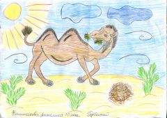 Рисунок Анжелины КаштановойКак верблюда назовешь, так он и заживет Ельниковская роща 2017 - Год экологии и особо охраняемых природных территорий 