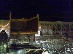 vjcn.jpgВ Чувашии обрушился навесной пешеходный мост через автодорогу М-7 Чувашия разрушение МЧС мост авария 