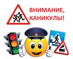 Внимание - каникулы!С 24 декабря по 10 января в Новочебоксарске пройдет профилактическое мероприятие "Внимание - каникулы!" рейд гибдд 
