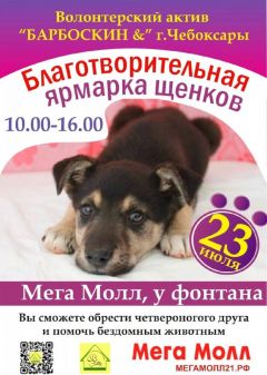 23 июля - выставка-пристрой бездомных щенков и собак