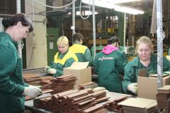 В Новочебоксарске открылся  завод по производству клинкерной брусчатки и кирпича