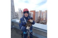 Спасение кошкиСпасатели сняли кошку с козырька балкона в Чебоксарах спасение 