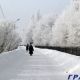Деревья в Новочебоксарске нарядились в кружева изморозь 