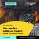 Чувашия присоединилась к всероссийскому марафону против лесных пожаров экология Чувашии 
