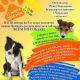 17 марта на выставка-пристрое «Всем по собаке» можно завести четвероногого друга