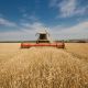 Приняты дополнительные меры по устойчивому развитию сельского хозяйства Президент Чувашии Михаил Игнатьев 