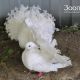 В Ельниковской роще появились белоснежные голуби