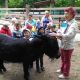 Имя для нового жителя зоопарка в Новочебоксарске дала горожанка Римма Иванова