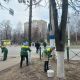 В Новочебоксарске начаты работы по побелке деревьев