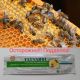 В Чувашии выявлен контрафактный лекарственный препарат для лечения болезней пчел Россельхознадзор 