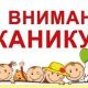 За 11 месяцев 2020 года в Новочебоксарске зарегистрировано 23 ДТП с участием детей и подростков
