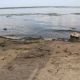 Почему в Чебоксарах «цветет» Волга: ОНФ обратил внимание властей на серьезную экологическую проблему