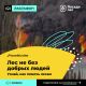 В России проходит марафон против лесных пожаров