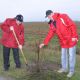 Сотрудники горадминистрации посадили 70 деревьев