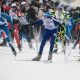 Соревнования по спортивному туризму на лыжных дистанциях в Ельниковской роще