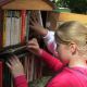 В Чебоксарах появятся обновленные уличные мини-библиотеки
