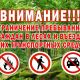 С 1 июля ограничат посещение гражданами лесов Чувашии