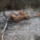 В Новочебоксарске упали деревянные скульптуры в Ельниковской роще