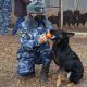 Саратовский питомник передал 7 служебных собак в кинологам УФСИН Чувашии