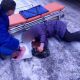 Пьяный водитель, сбивший в Новочебоксарске двух женщин, получил 3 года колонии