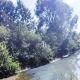 Минприроды Чувашии прокомментировало сообщения о загрязнении реки Булы