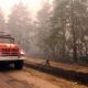 От пожаров в России погибли 50 человек пожары 