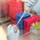 Анализы на коронавирус делают в 11 лабораториях Чувашии