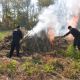 В чувашском поселке “Опытный” вырастили 11 тонн конопли наркополиция 