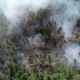 Причиной пожара в заповеднике "Присурский" стало неосторожное обращение с огнем лесной пожар 