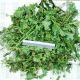  В рамках операции «Мак» в Чувашии за минувшие сутки наркополицейские изъяли более 600 грамм растения