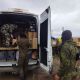 Крупную партию гуманитарной помощи доставили бойцам из Чувашии Фонд развития Чувашии «ПӖРЛЕ» 