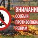 В Новочебоксарске установлен особый противопожарный режим