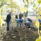 В Бердянском районе шефы из Чувашии посадили деревья на алее парка Победы в селе Азовское