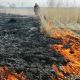 10 апреля в Чувашии произошли сразу два возгорания сухой травы возгорание 