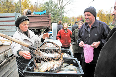 За живой рыбой выстраивались очереди. Фото Валерия Бакланова.