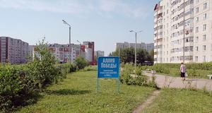 За пять лет существования Аллеи кустарники здесь так и не прижились. 