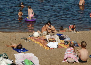 Всем купаться! И собачкам тоже.