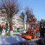 Бригада АО “Доркомсервис” кронирует деревья на ул. Винокурова. Фото Максима БОБРОВА