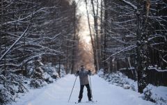 Катание на лыжах. Фото РИА НовостиЭксперты назвали самый полезный вид зимнего спорта ЗОЖ 