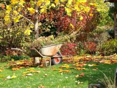 В садах расцвет золотой осени. И своей яркостью она может поспорить с летом. Фото ogorod.ruВаш сад — палитра красок 
