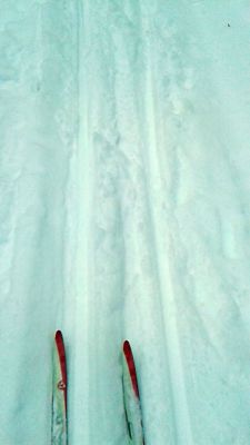 20150102_140136.jpgПо лыжне здоровья  тропа здоровья лыжня в Заволжье каникулы зимние 