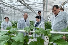 Визит министраМинистр сельского хозяйства Чувашии сделал ряд заявлений при посещении агрофирмы "Ольдеевская" развитие АПК 