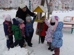 Акция “Покормим птиц” в детском саду № 47.Зимний калейдоскоп в детских садах Дошколенок 