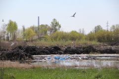Гнилое болото на пересечении улиц Ивановской и Промышленной.Окружили! мусор в городе 