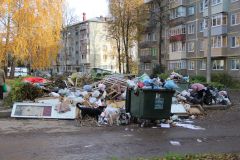 Фото Марии СмирновойНе плати за соседа! мусор 
