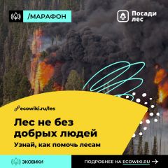  В России проходит марафон против лесных пожаров экология марафон 